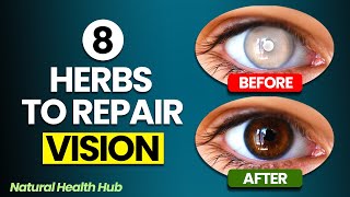 8 Herbs to Protect Eyes and Repair Vision [upl. by Eremahs]