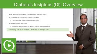 Diabetes Insipidus DI Overview – NephrologyFoundations  Lecturio [upl. by Etka665]