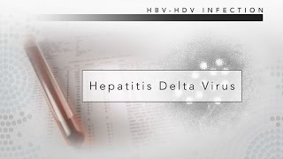 Hepatitis D CDC Viral Hepatitis Serology Training [upl. by Asilanom]