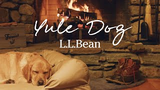 LLBean Yule Dog  1 Hour 4K Real Burning Fireplace  Cozy Holiday Background Vibes [upl. by Hertberg]