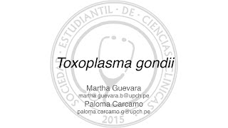 Toxoplasma gondii [upl. by Eltotsira640]