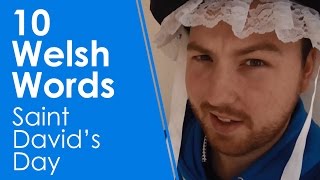 10 Welsh Words  Saint Davids Day Learn Welsh [upl. by Eves549]