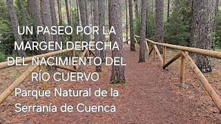 UN PASEO POR LA MARGEN DERECHA DEL NACIMIENTO DEL RÍO CUERVO Parque Natural Serranía de Cuenca [upl. by Artep]