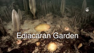 Ediacaran Garden the first animals [upl. by Moyers402]