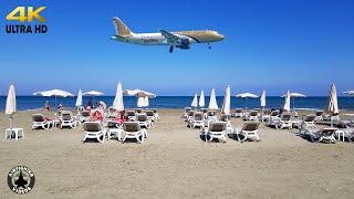 Planespotting ON THE BEACH Cyprus Larnaca Airport  Monday arrivals 4K [upl. by Eyaj715]