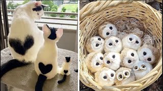 Cute Baby Animals Videos Compilation  Funny and Cute Moment of the Animals 31  Cutest Animals [upl. by Frank111]