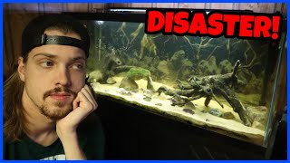 This Deadly Disease Killed My Fish [upl. by Cappella]