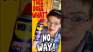 WHOA WD40 takes care of bugsSIGN ME UP shorts diy hack youtubeshorts new [upl. by Linnell]