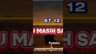 Aku masih sayang  St 12 djakumasihsayang djremix akumasihsayang shorts short shortvideo [upl. by Aenad]