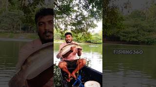 No caption fishing shortsfeed trendingvideos [upl. by Evelyn]