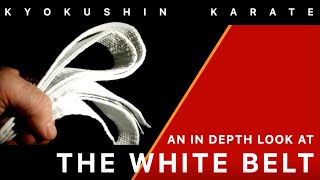 An in depth look at the karate white belt [upl. by Milka]