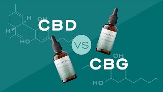 CBD vs CBG Comparative Insights into Cannabinoid Diversity [upl. by Laehcym383]