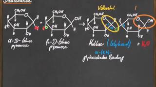 Q 11 Disaccharide [upl. by Cutlerr473]