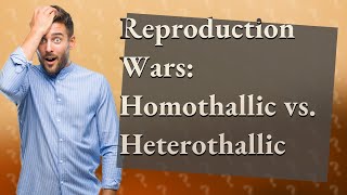 What is homothallic or heterothallic mycelia [upl. by Adao]