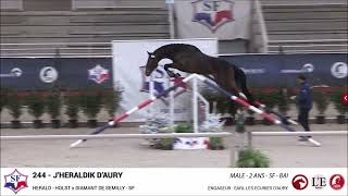 JHERALDIK DAURY  Championnat des Mâles 2ans SF  Atelier Saut en liberté [upl. by Sutphin]