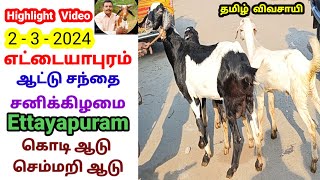 2  3  2024  எட்டையாபுரம் ஆட்டு சந்தை  சனிக்கிழமை  Ettayapuram Goat Market tamilvivasayi [upl. by Yarased826]