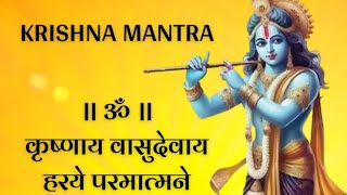 Krishna Mantra  Om Krishnaya Vasudevaya Haraye Paramatmane 108 Times Bhakti Song Krishna Bhajan [upl. by Ayojal805]