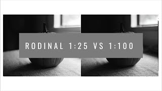 Rodinal 125 vs 1100 [upl. by Elauqsap]