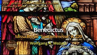 Mozart  Missa Brevis in C K220 quotSpatzenMessequot  Benedictus [upl. by Nwahsed]