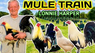 Lo Mejor En Giros Lonnie Harper Mule Train 🇺🇸🏆🐓🔥🔥🔥 [upl. by Winn]