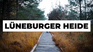 Lüneburger Heide 3 tolle Ausflugstipps  umsonst und draußen [upl. by Assenej420]