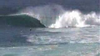 Body Boarding Shark Island [upl. by Weir103]