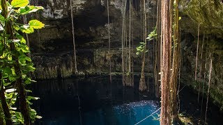 Top 8 Mexican Cenotes [upl. by Modeste]