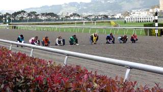 Wiener dog races Final [upl. by Hans]