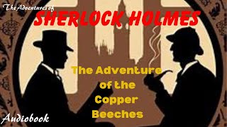 Sherlock Holmes🎧The Adventure of the Copper Beeches mystery story foryou To relax amp success [upl. by Anirbus33]