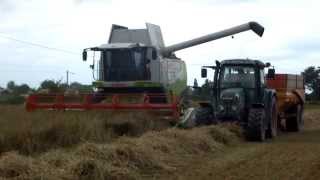 moisson 2014 avec moissonneusebatteuse claas lexion [upl. by Dena]