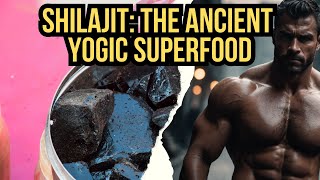 Shilajit The Ancient Yogic Superfood that Rebuilds Your Body [upl. by Billmyre717]