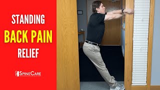 Best Standing Lower Back Pain Relief Exercises [upl. by Diamond]