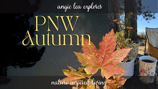 Autumn in the PNW Angie Lea Explores [upl. by Acinaj]