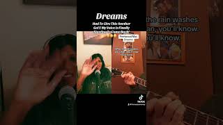 Dreams  Acoustic Rendition Theresa Carmoney amp Jamey Divietro Style of Fleetwood Mac [upl. by Brigg]