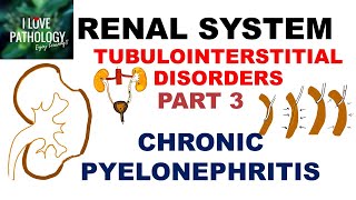 CHRONIC PYELONEPHRITIS  PATHOLOGY [upl. by Derrej]