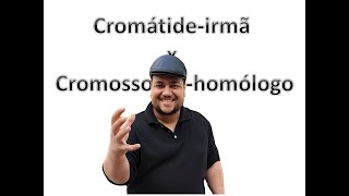 Cromátide irmã x cromossomohomólogo [upl. by Bourn]