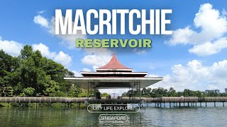 Nature Trekking MacRitchie Reservoir Singapore City [upl. by Kirby64]