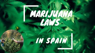 Marijuana laws Spain [upl. by Anauj]