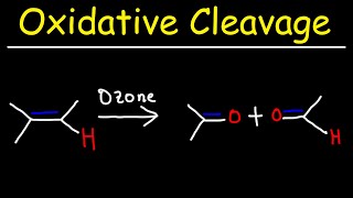 Oxidative Cleavage of Alkenes  KMnO4 and Ozonolysis [upl. by Aduhey]