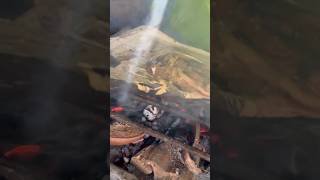 Grilled Blue Marlins Head marang food youtube shortvideo short thankyouforwatching [upl. by Aicetel394]