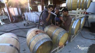 Vine to Wine Winemaking at Naggiar Vineyards [upl. by Oinigih]