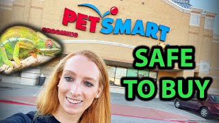 Chameleon products you CAN buy at PetSmart [upl. by Azalea]