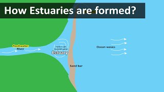 How Estuaries are formed  Coastal Estuary sandbar  Geography terms [upl. by Nalyad980]