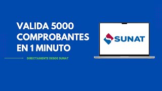 Bot SUNAT para validar 5000 comprobantes en 1 minuto [upl. by Nolahc]