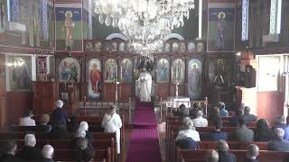 Sts Gerasimos and Artemios Matins and D Liturgy [upl. by Yeznil]