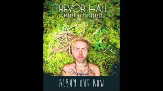 Trevor Hall  O Haleakala With Lyrics [upl. by Inele80]