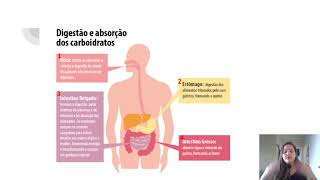 CARBOIDRATOS  Digestão e absorção [upl. by Flanders760]