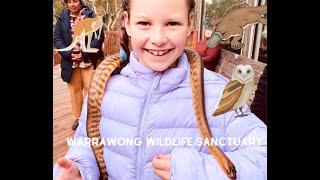 We visited Warrawong Wildlife Sanctuary [upl. by Ynamad]