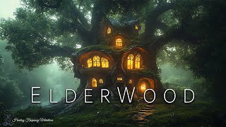 ELDERWOOD Sanctuary  Healing Forest Ambience for Inner PEACE amp TRANQUILITY  285Hz  741Hz  852Hz [upl. by Hachmann]