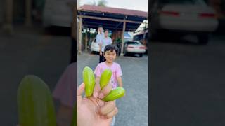 Funny fruits🥴🤣phanetfamily shortvideo comedyvideos fruit shorts [upl. by Ayahsal]